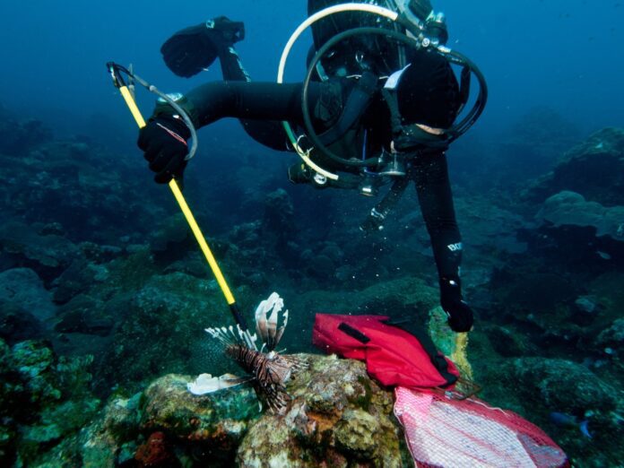 Photo Credit: G.P. Schmal NOAA