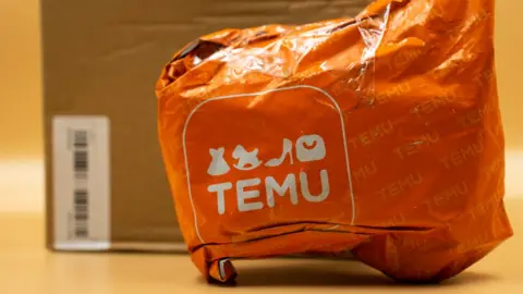 EU regulators raid Temu’s Dublin office over concerns about Chinese state subsidies