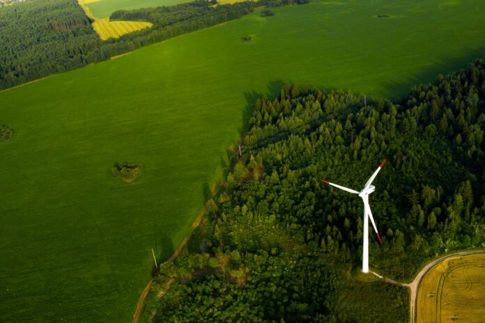BP slows green energy investments and shifts focus to debt reduction