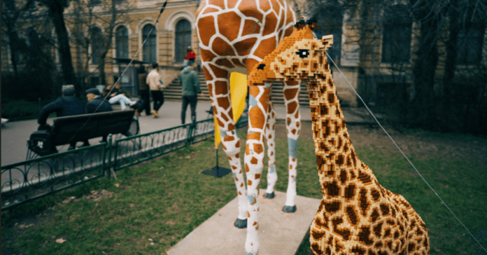 Grigore Antipa National Museum of Natural History hosts LEGO animal exhibition: iconic giraffe gets a 80,000-piece companion